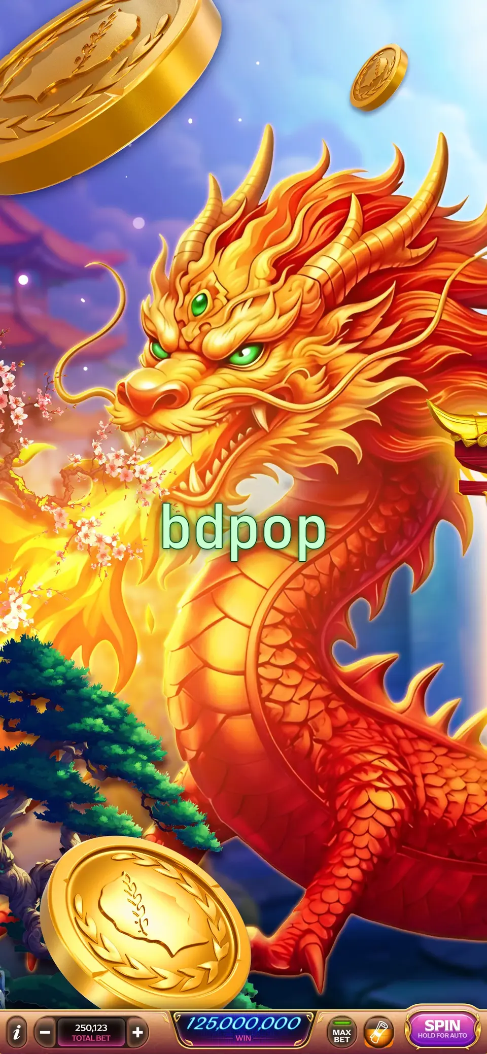 bdpop লগইন